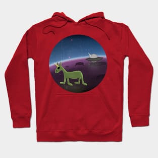 U.F.O. Unicorn Flying Object Hoodie